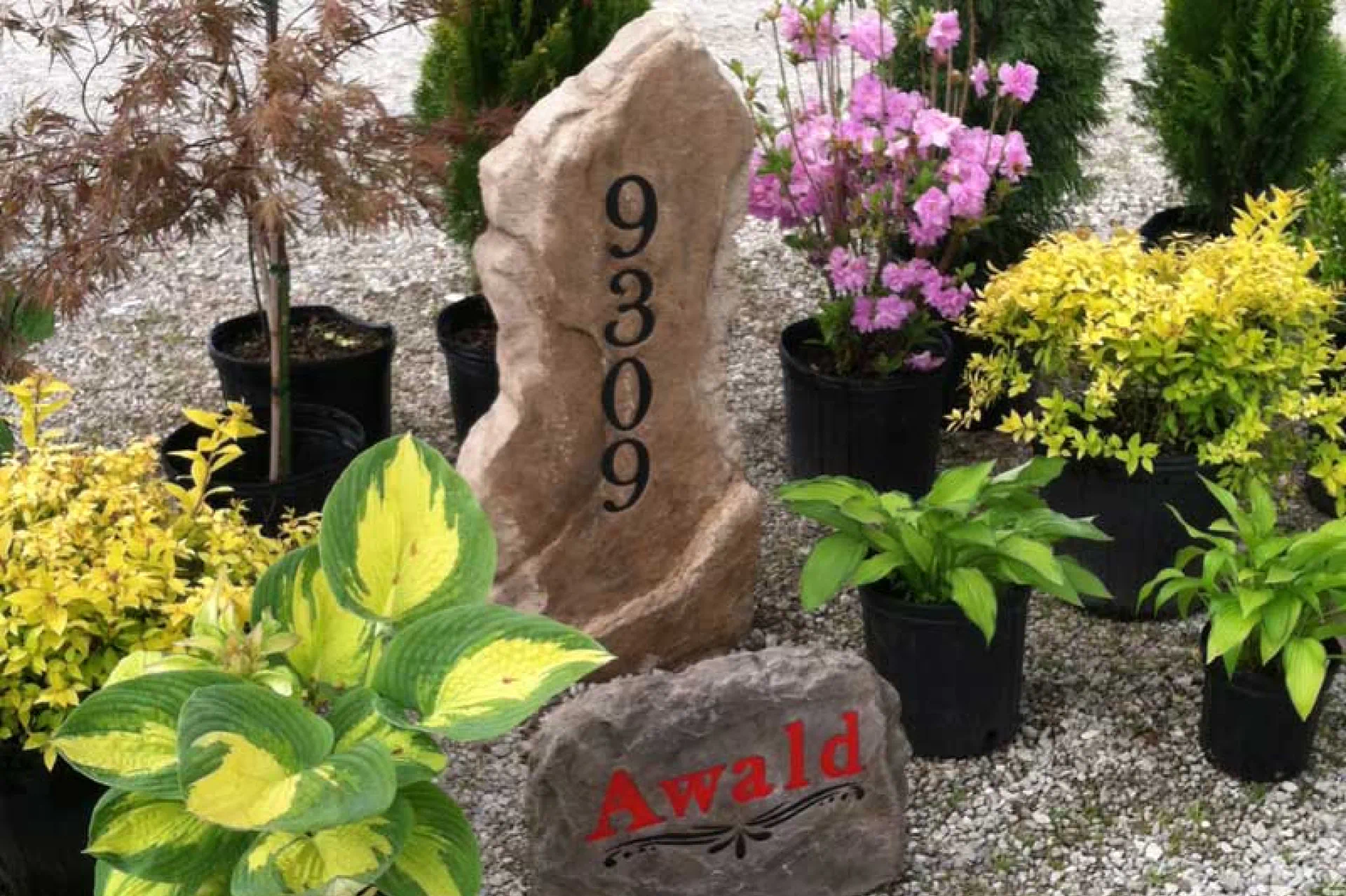 House Number Boulders (1) House Number Boulders (1)